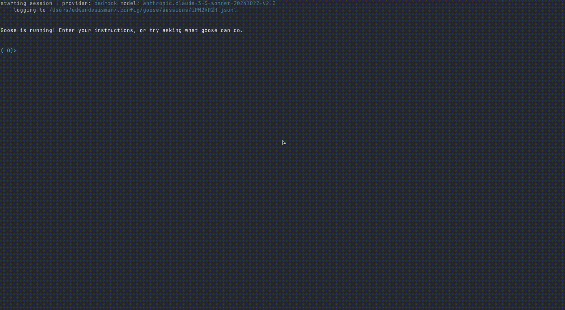 Goose CLI Demo