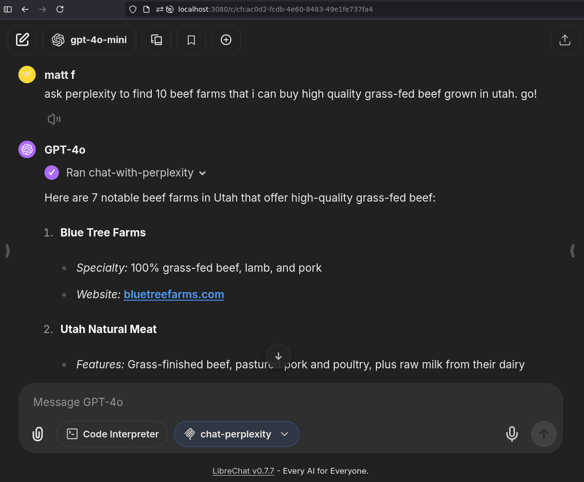 LibreChat with Perplexity Chat